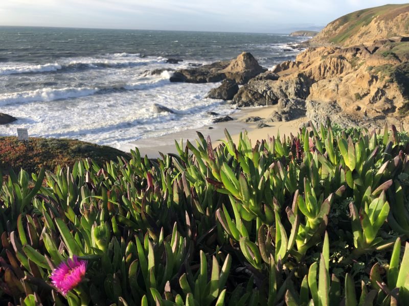 Bodega Bay, California