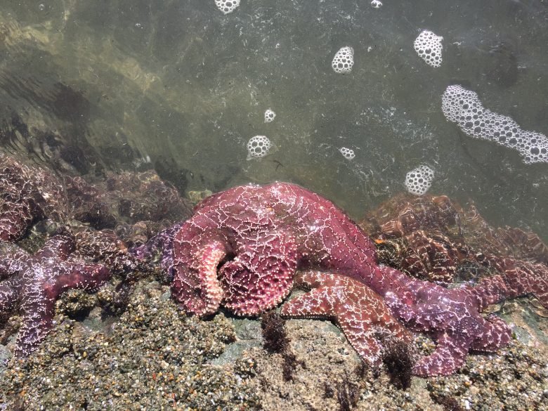 Treasures Below The Sea