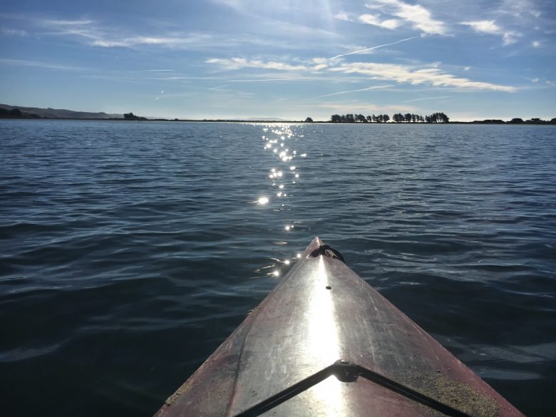 Kayaking on Bodega Bay