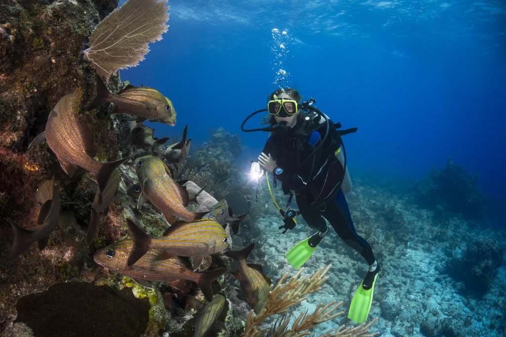 Caribbean coral reef and diver