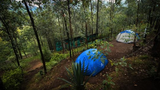 Anayirangal Valley Camp