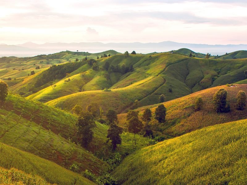 Teaching in Thailand