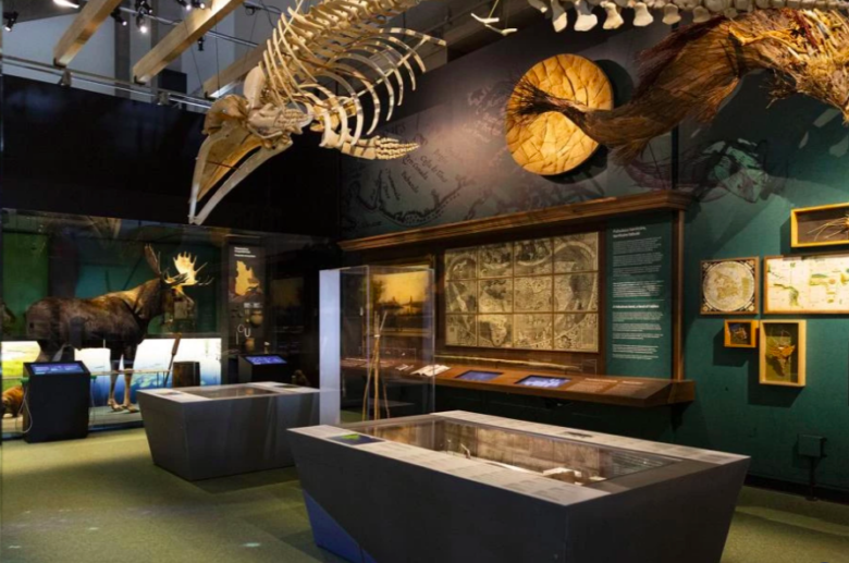 Musee de la Civilisation2